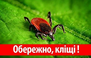 ОБЕРЕЖНО КЛІЩІ!